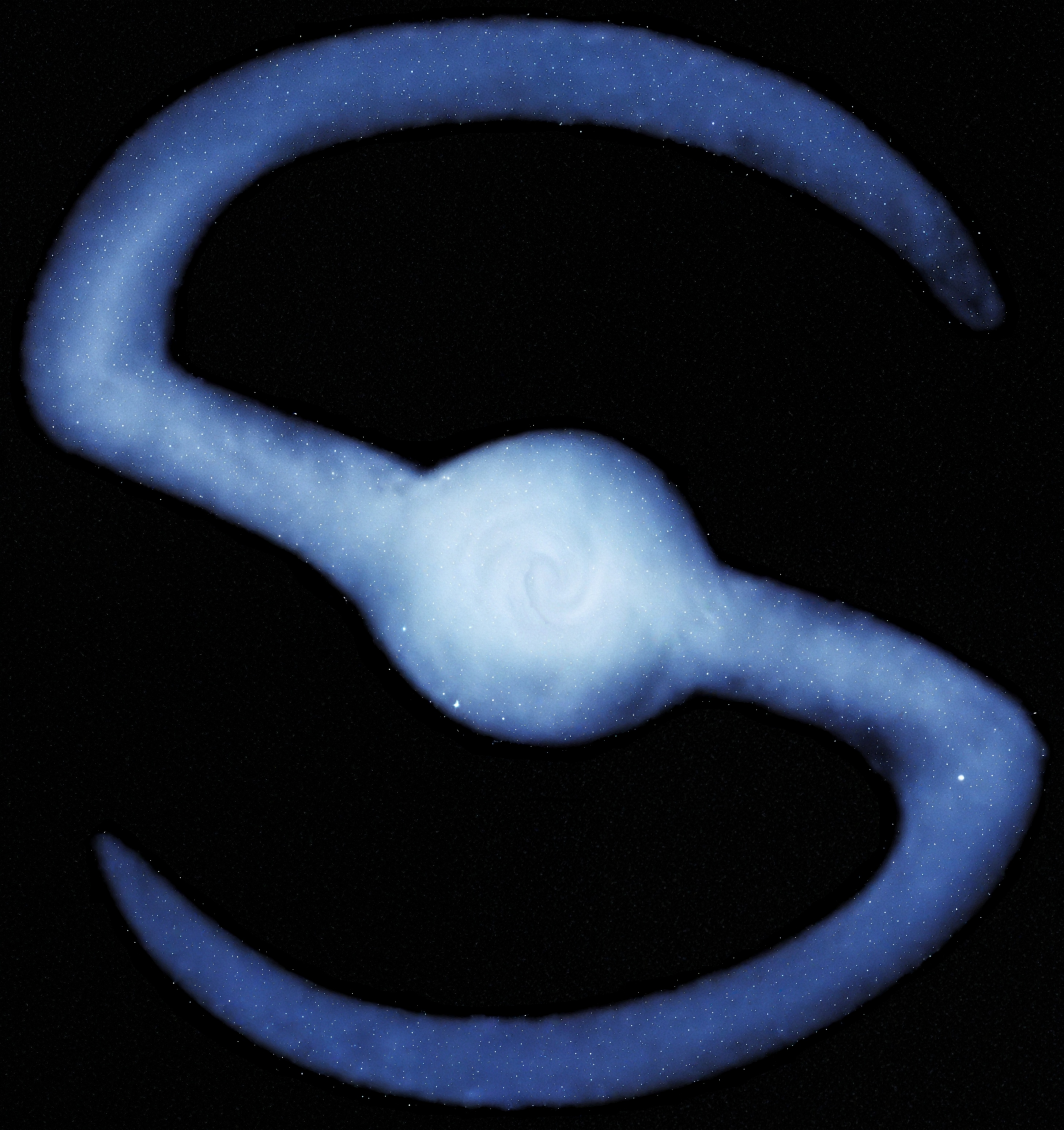 Sideralis Logo